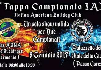 Tappa2