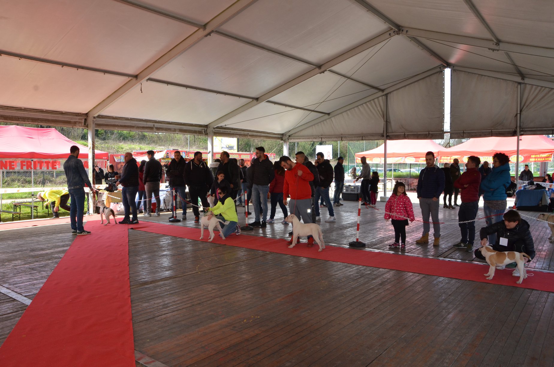 Tappa 1 1 (10)