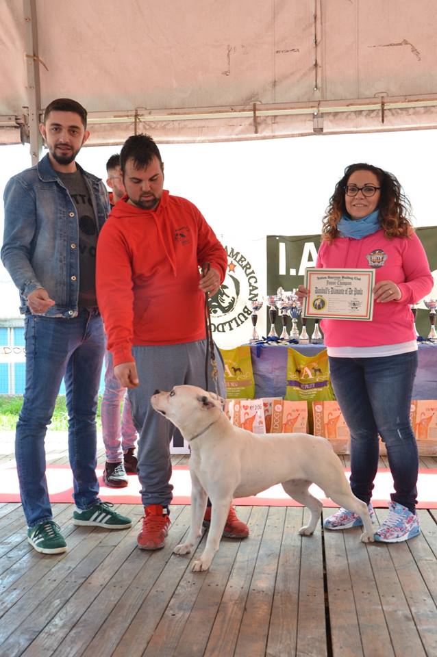 Tappa 1 1 (120)