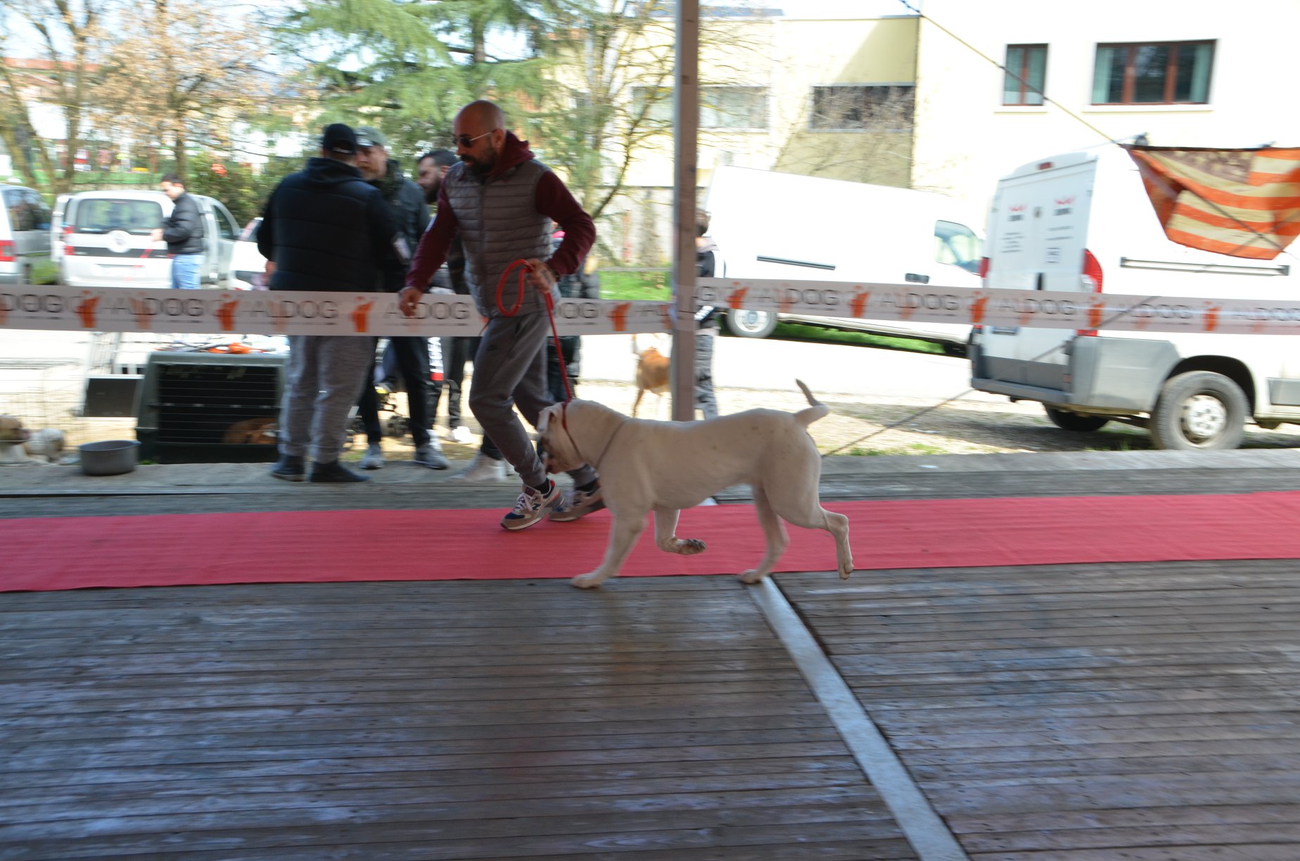 Tappa 1 1 (15)