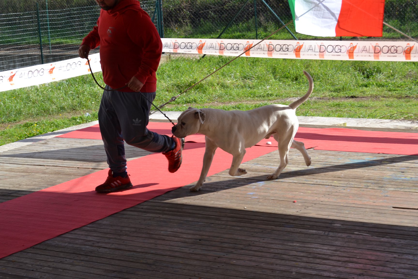 Tappa 1 1 (18)