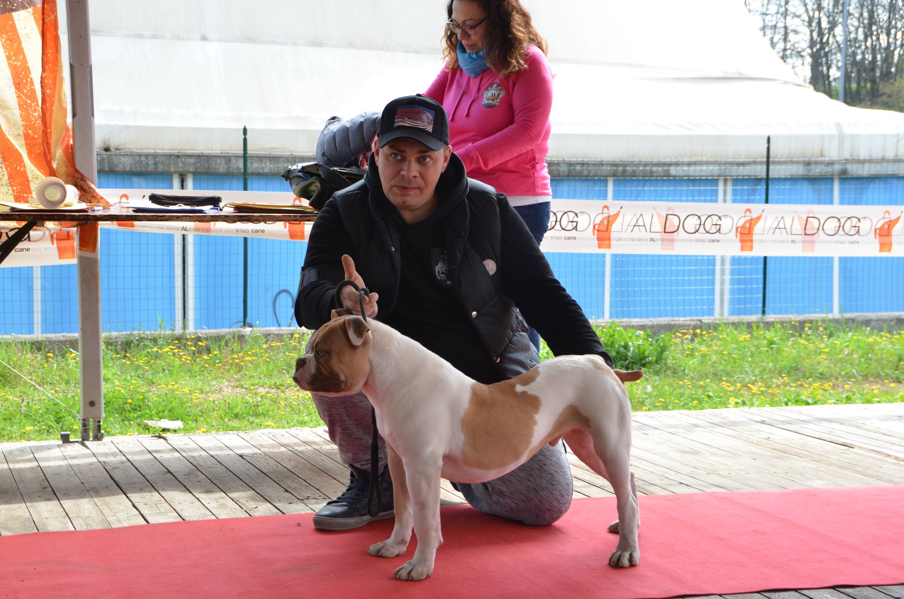Tappa 1 1 (23)