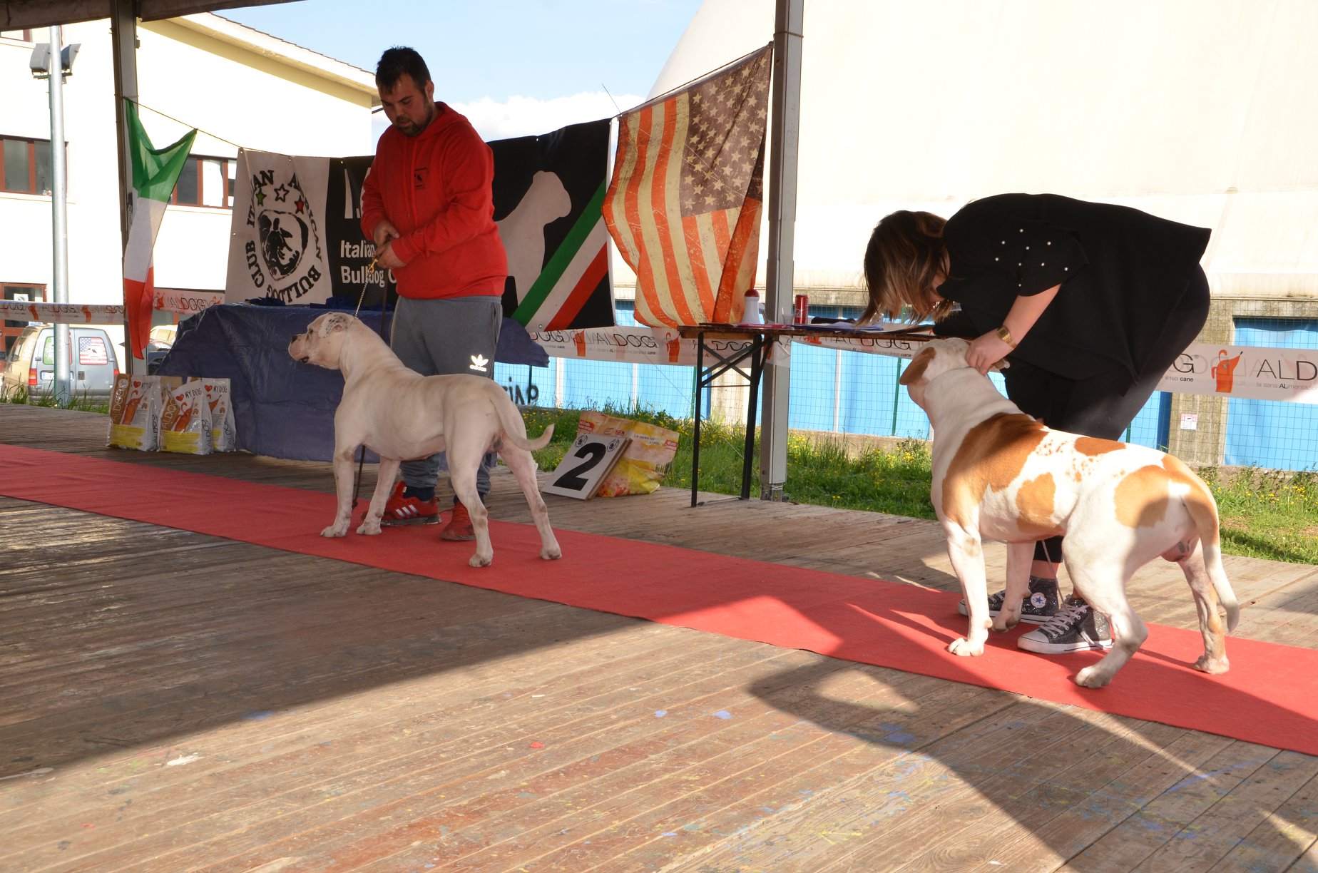 Tappa 1 1 (29)