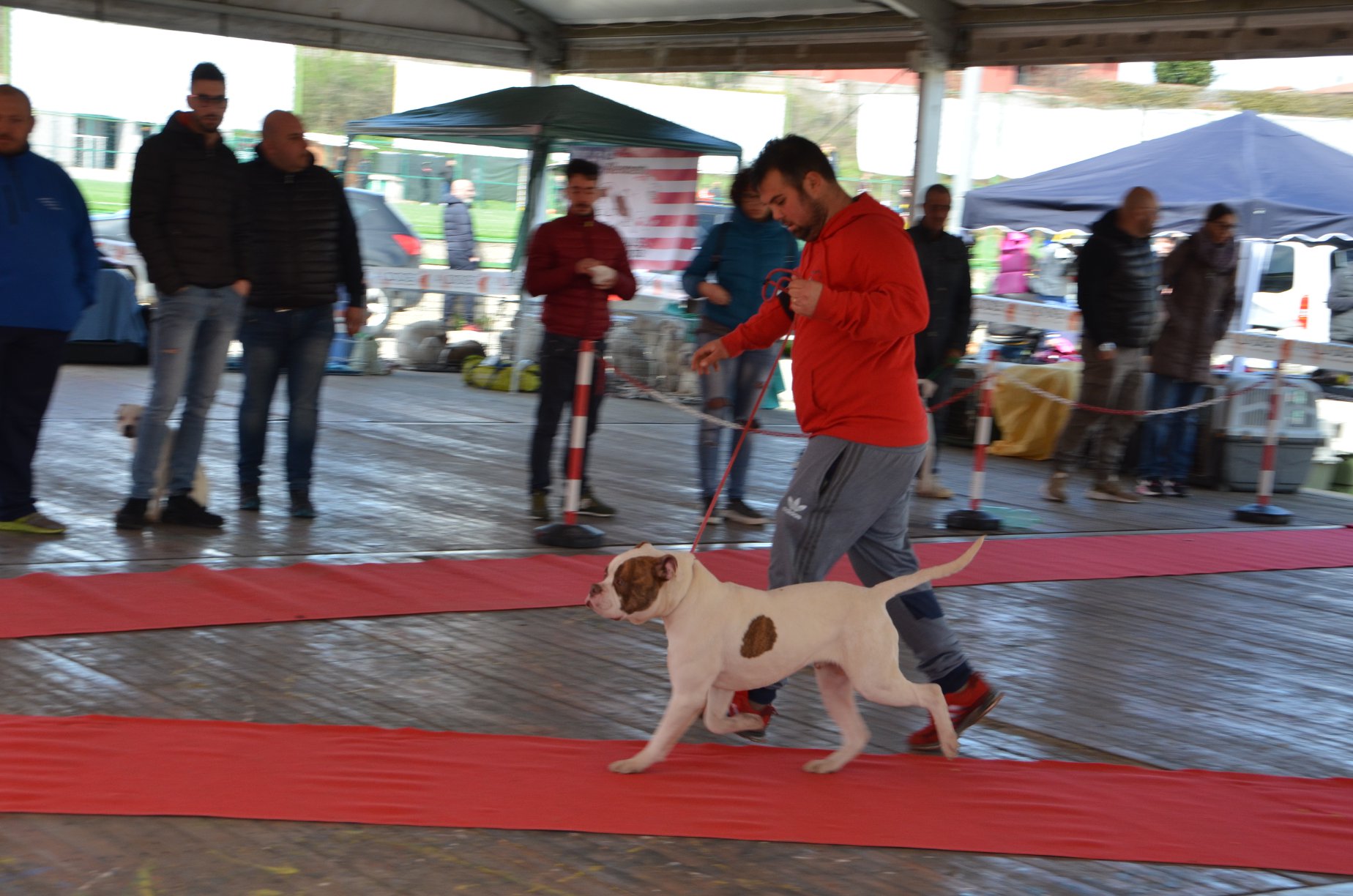 Tappa 1 1 (31)