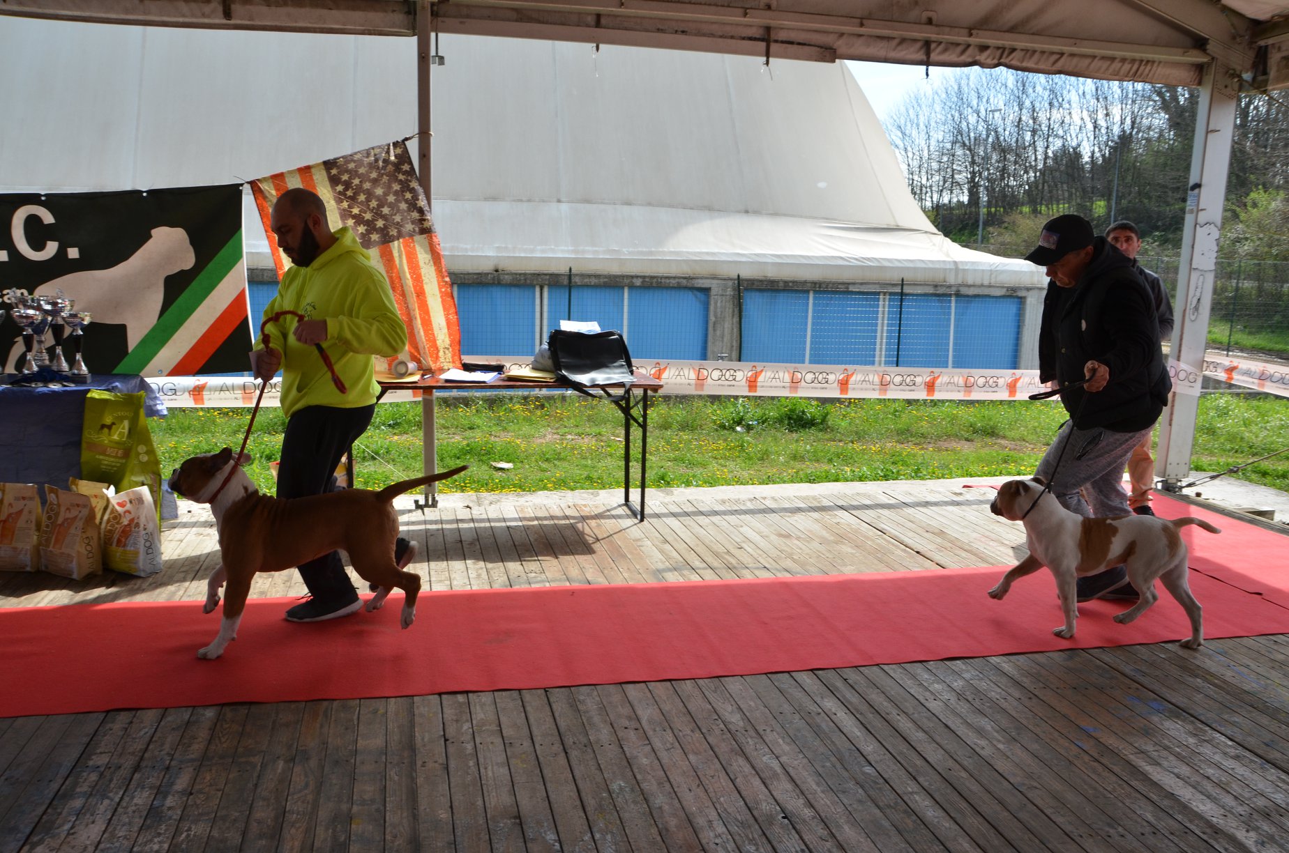 Tappa 1 1 (44)