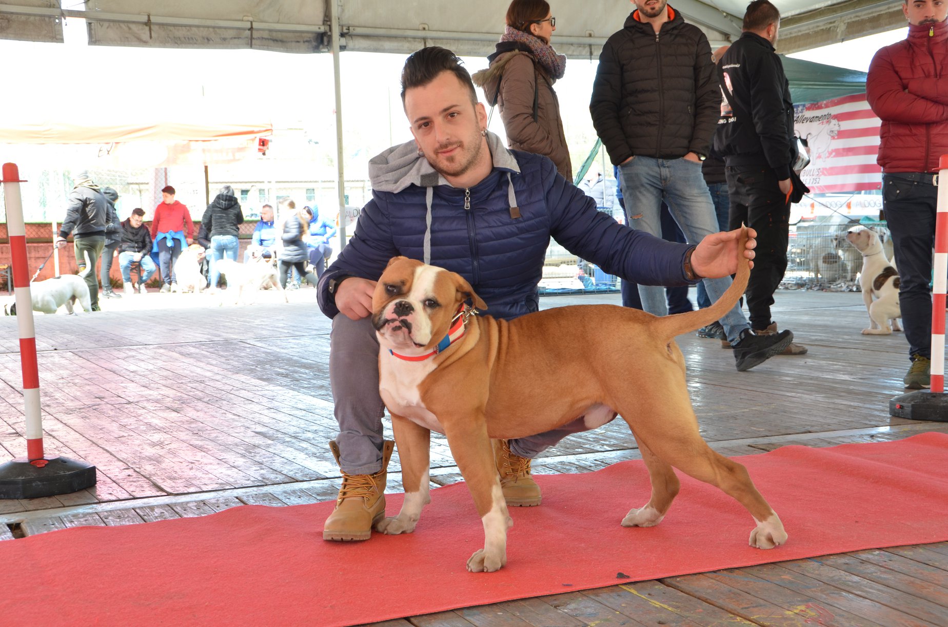 Tappa 1 1 (48)