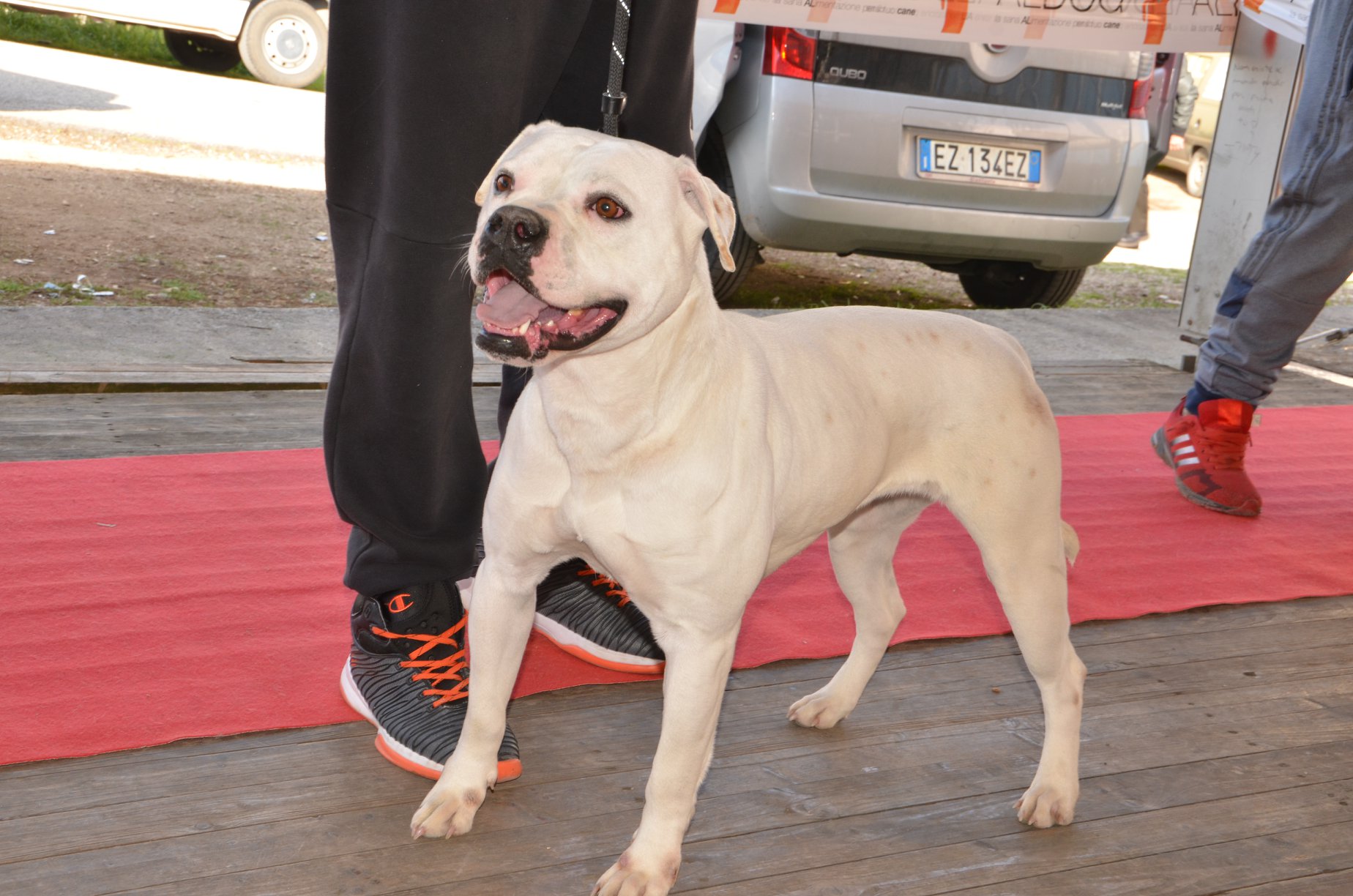 Tappa 1 1 (49)