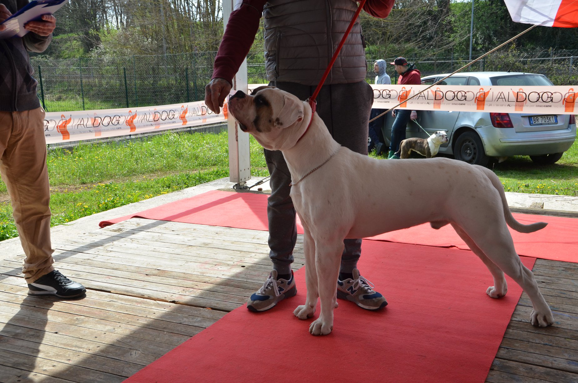 Tappa 1 1 (50)