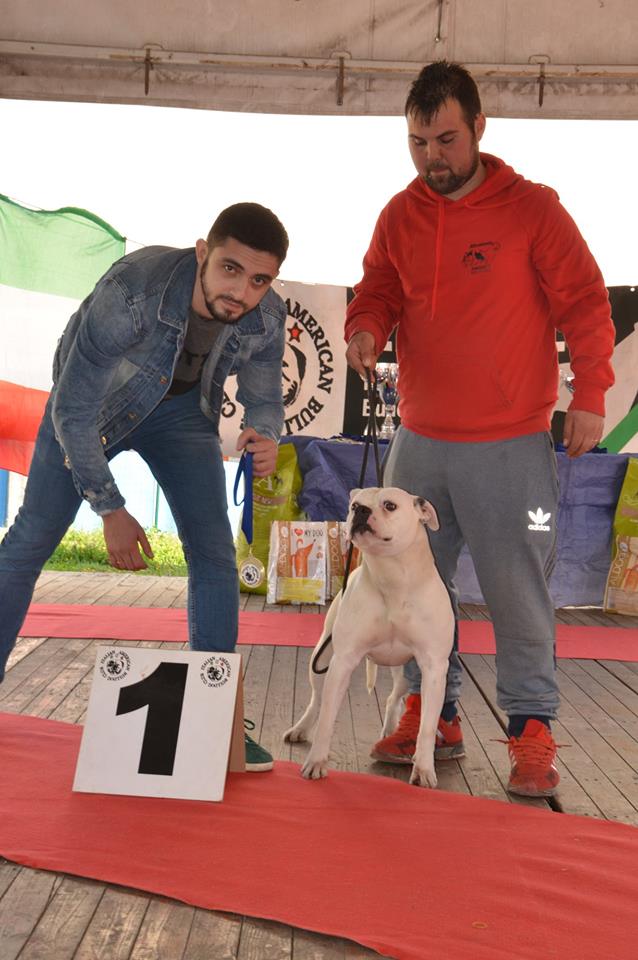 Tappa 1 1 (59)