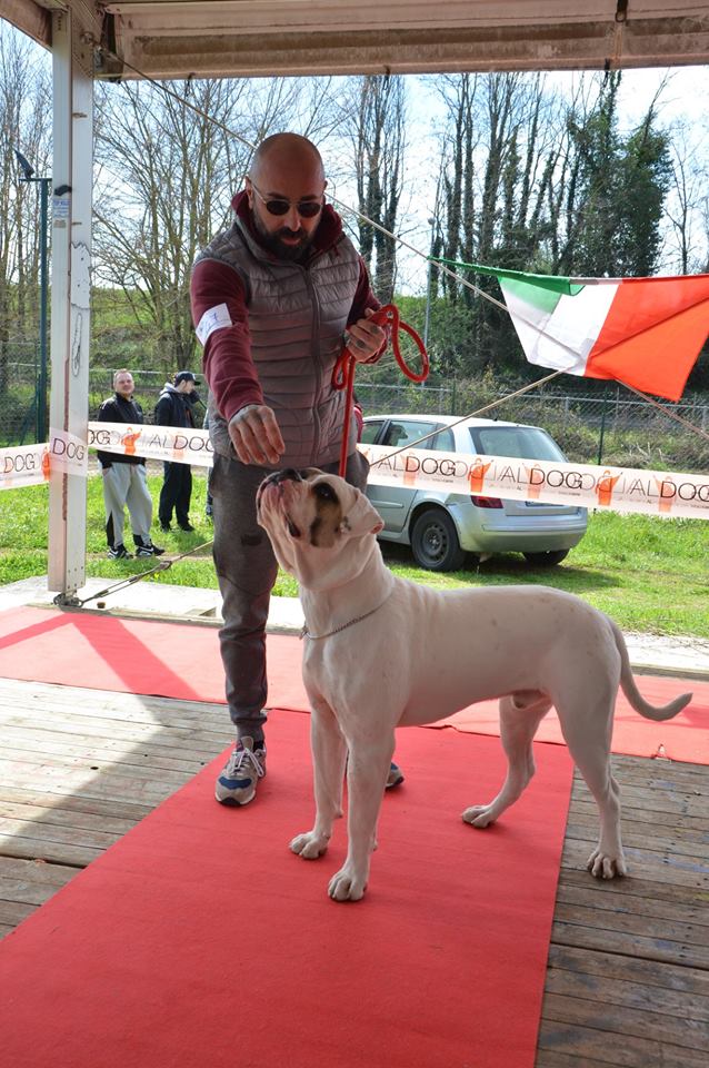 Tappa 1 1 (77)