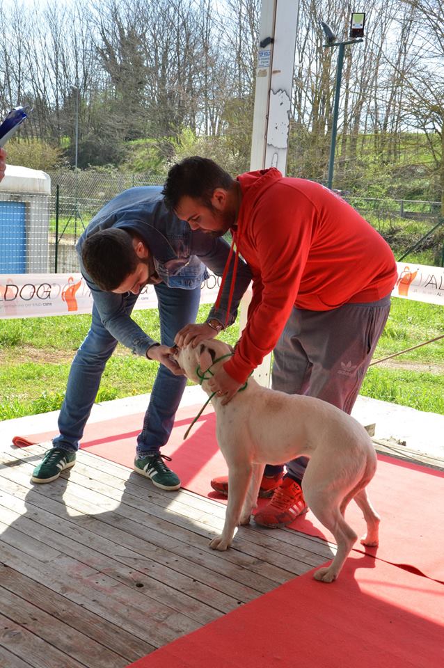 Tappa 1 1 (88)