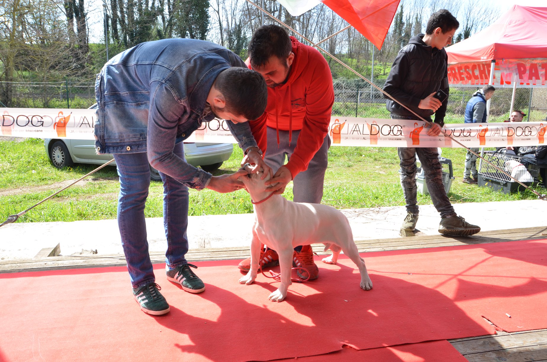 Tappa 1 1 (90)